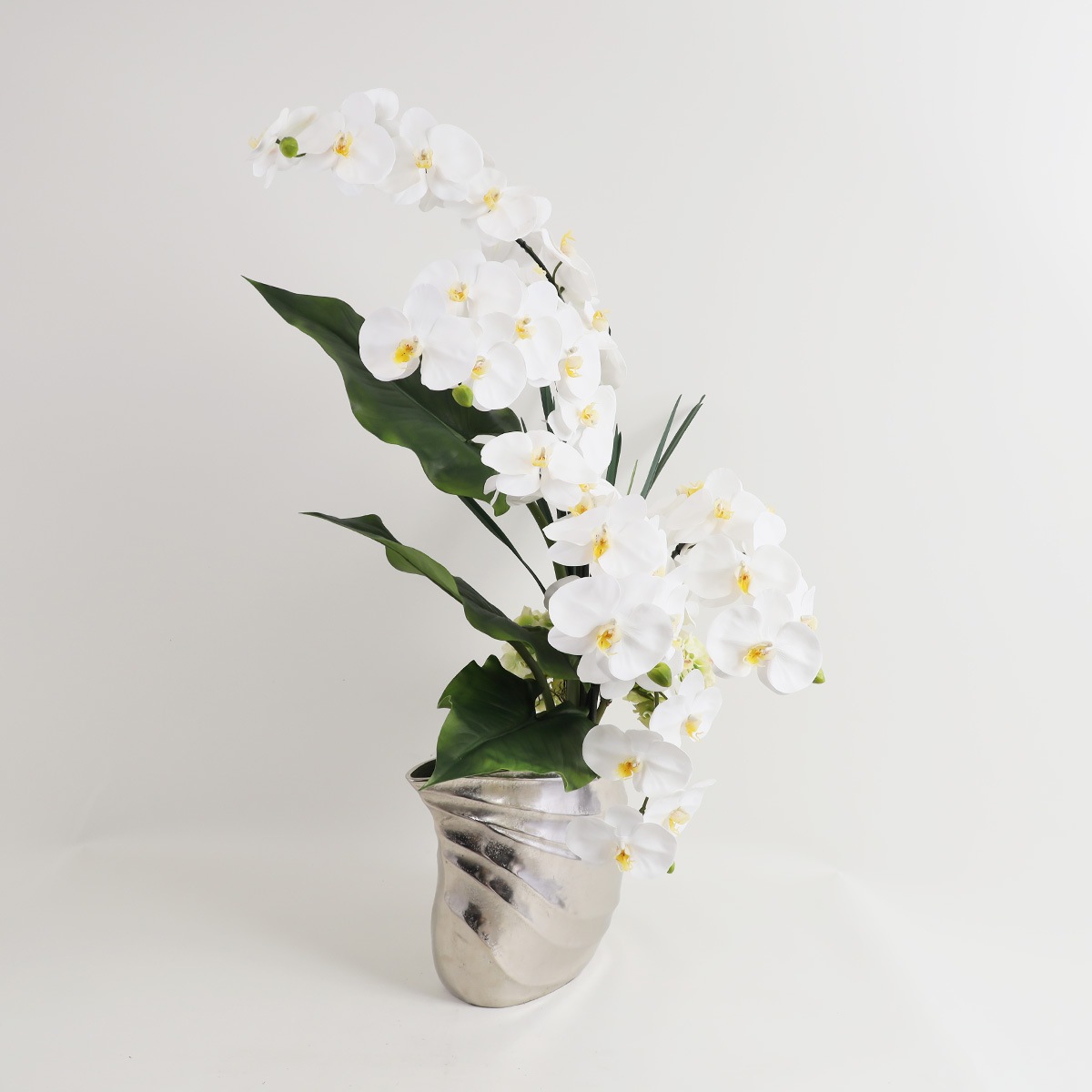 胡蝶蘭 はくらん[20] アレンジ鉢 アーティフィシャルフラワー