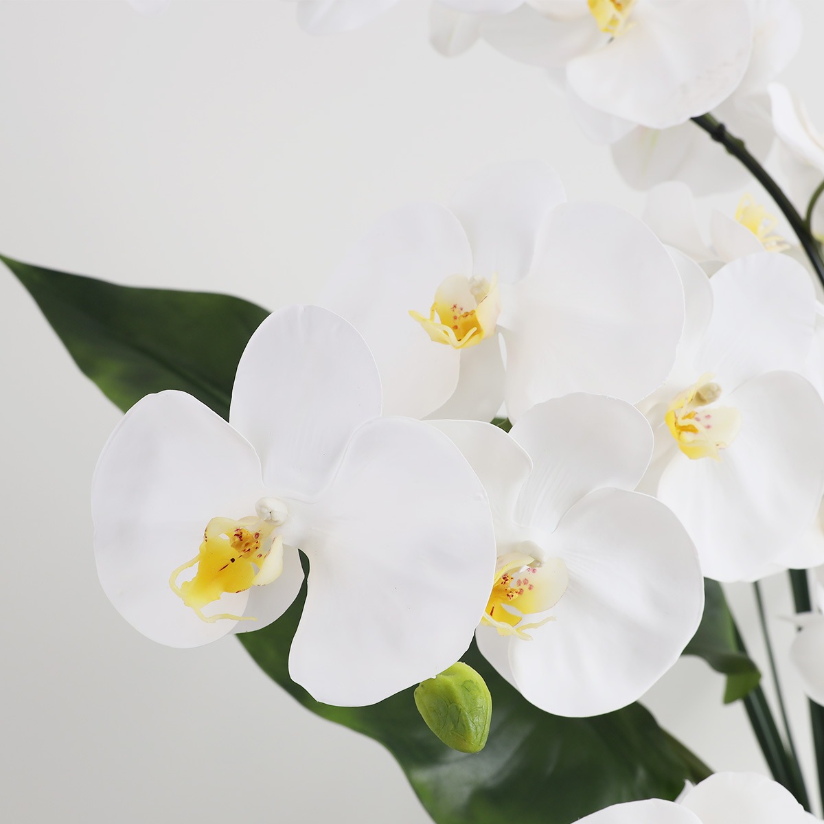 胡蝶蘭 はくらん[20] アレンジ鉢 アーティフィシャルフラワー