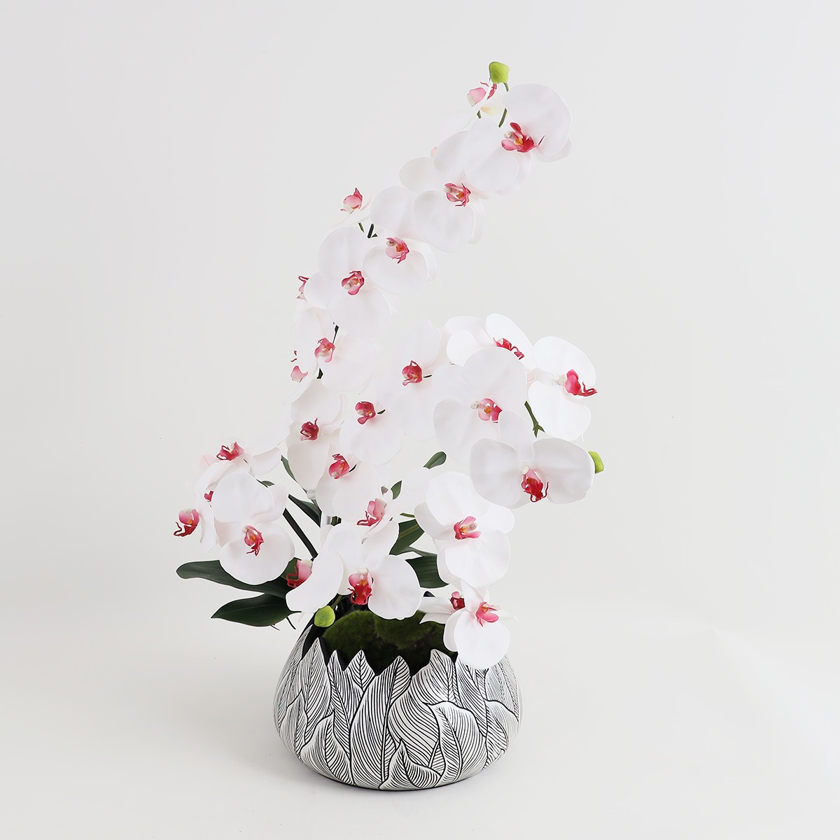 胡蝶蘭 はくらん[21] アレンジ鉢 アーティフィシャルフラワー