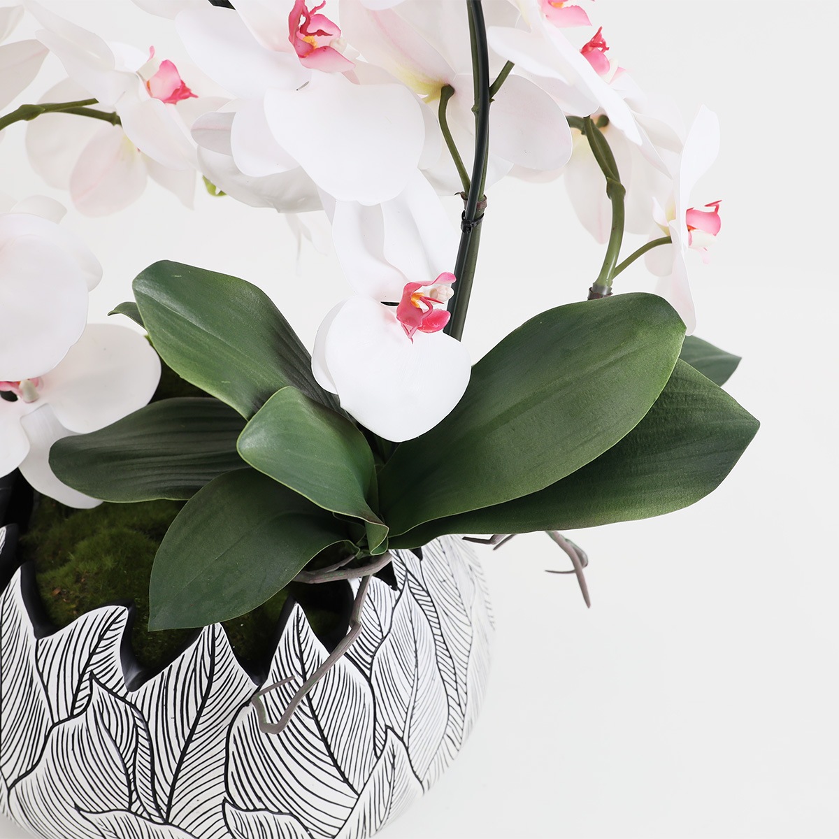 胡蝶蘭 はくらん[21] アレンジ鉢 アーティフィシャルフラワー