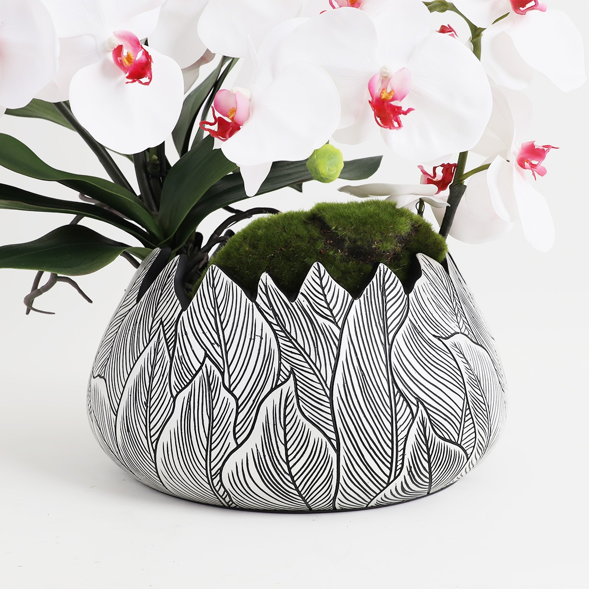 胡蝶蘭 はくらん[21] アレンジ鉢 アーティフィシャルフラワー