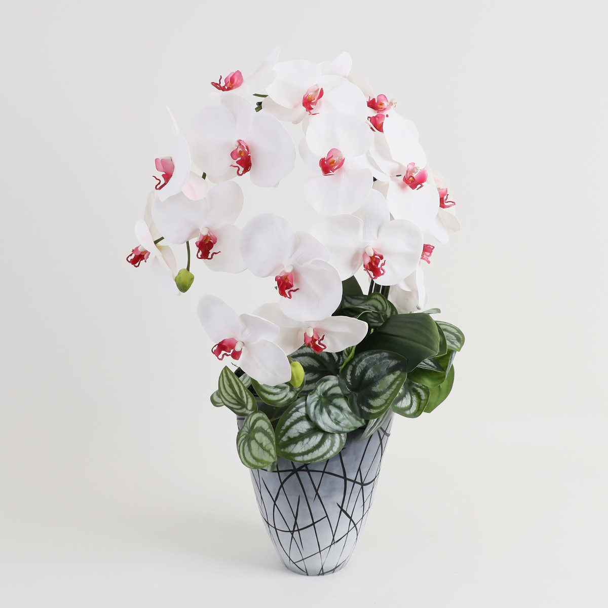 胡蝶蘭 はくらん[27] アレンジ鉢 アーティフィシャルフラワー