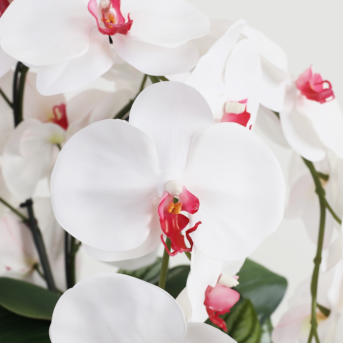 胡蝶蘭 はくらん[27] アレンジ鉢 アーティフィシャルフラワー