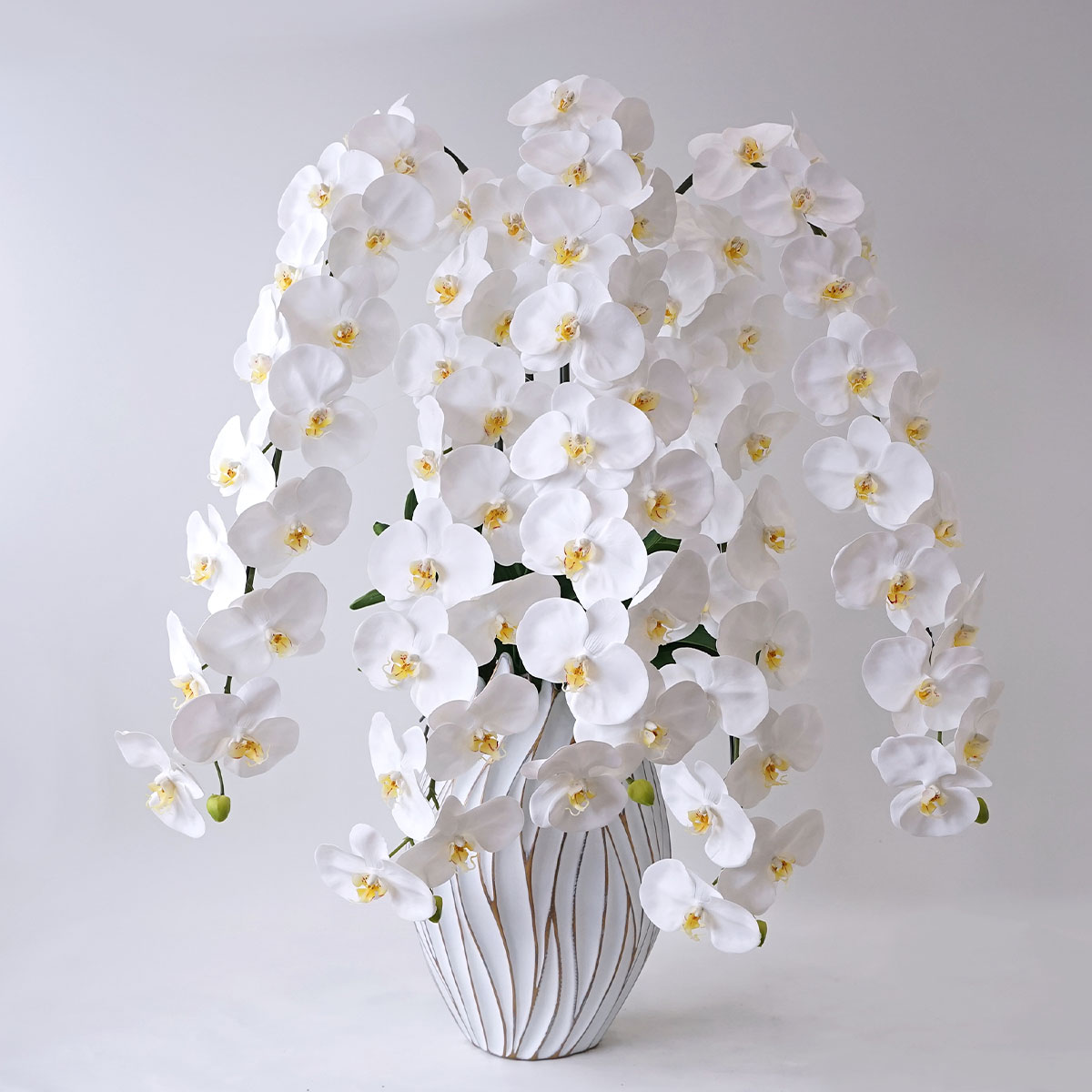 胡蝶蘭鉢 はくらん[05] 5本立ち 80輪 アーティフィシャルフラワー