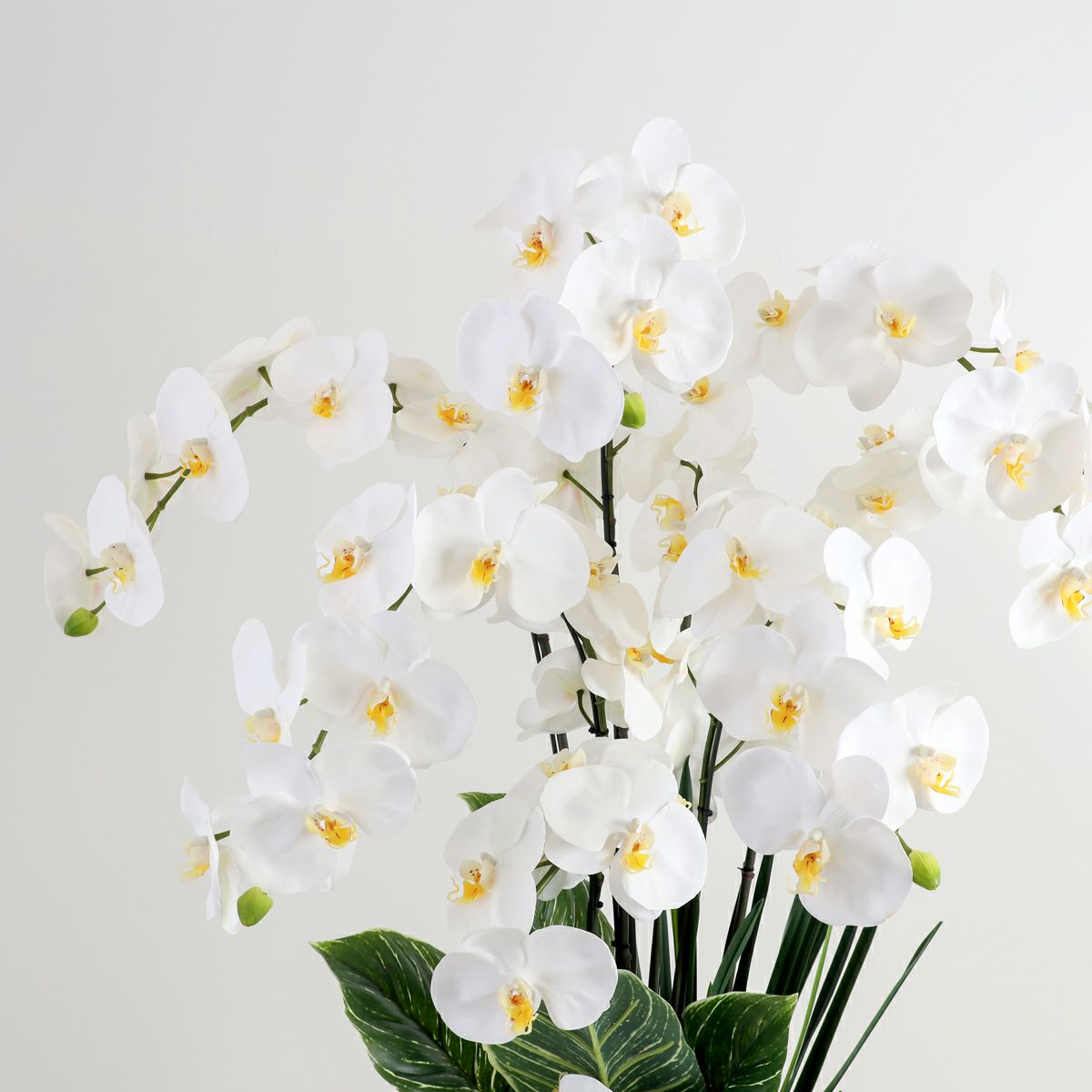 胡蝶蘭 はくらん 7本立 [P-01] BA アレンジ 鉢 アーティフィシャルフラワー 大型商品