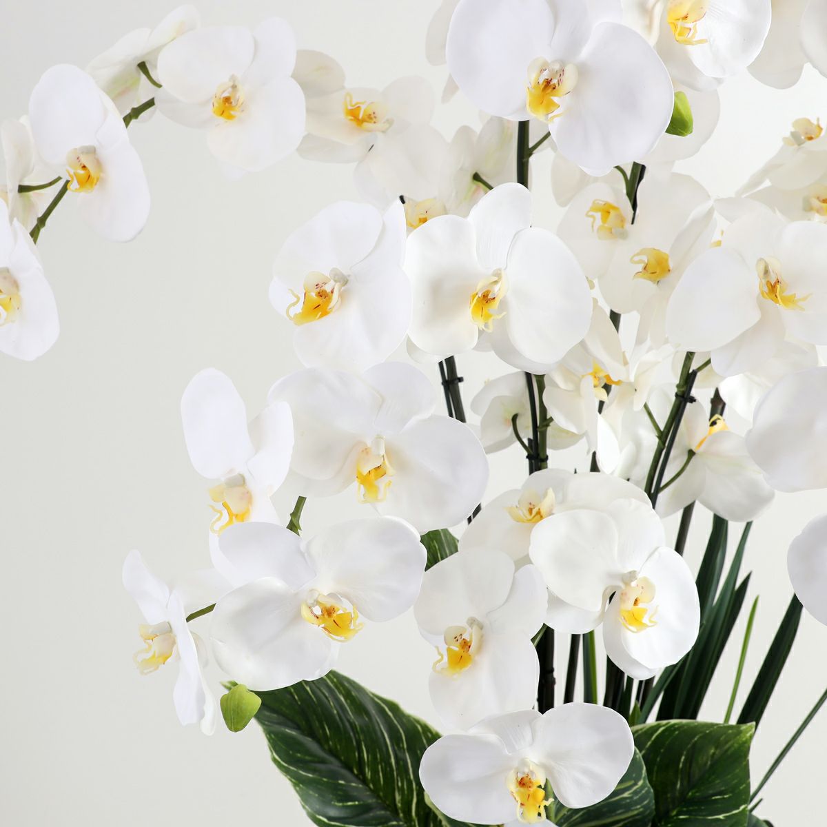 胡蝶蘭 はくらん 7本立 [P-01] BA アレンジ 鉢 アーティフィシャルフラワー 大型商品