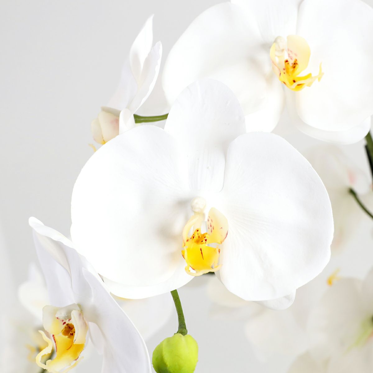 胡蝶蘭 はくらん 7本立 [P-01] BA アレンジ 鉢 アーティフィシャルフラワー 大型商品