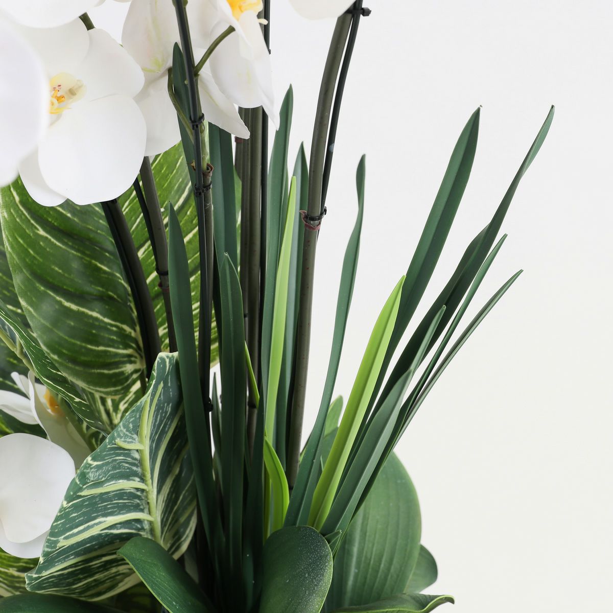 胡蝶蘭 はくらん 7本立 [P-01] BA アレンジ 鉢 アーティフィシャルフラワー 大型商品