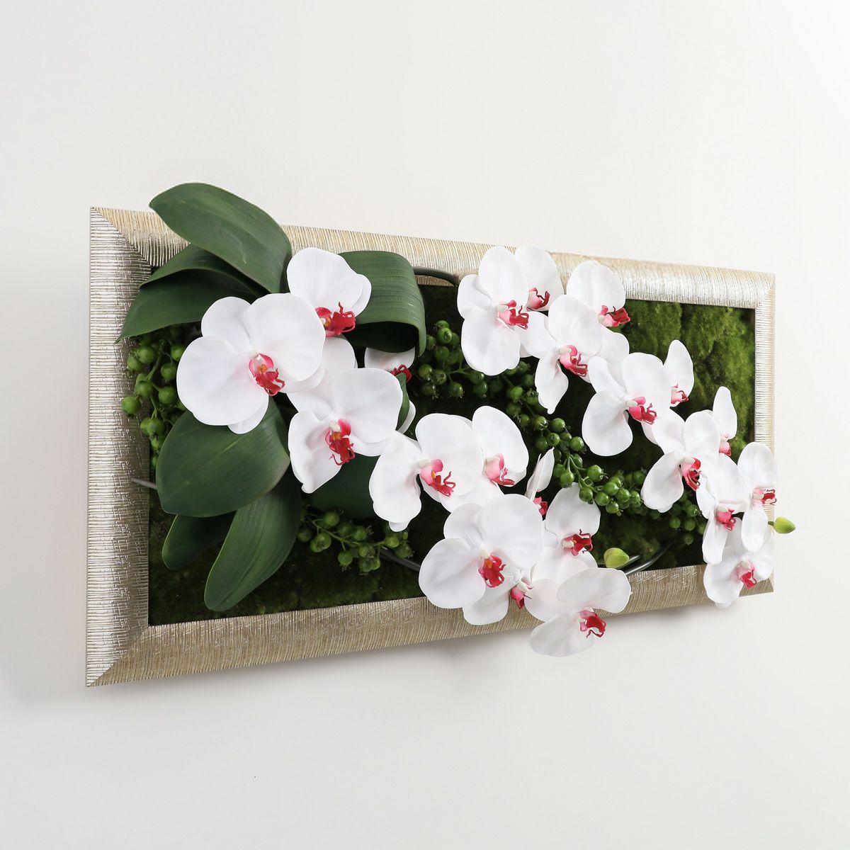 胡蝶蘭 はくらん フレーム [22] BA アレンジ 鉢 アーティフィシャルフラワー