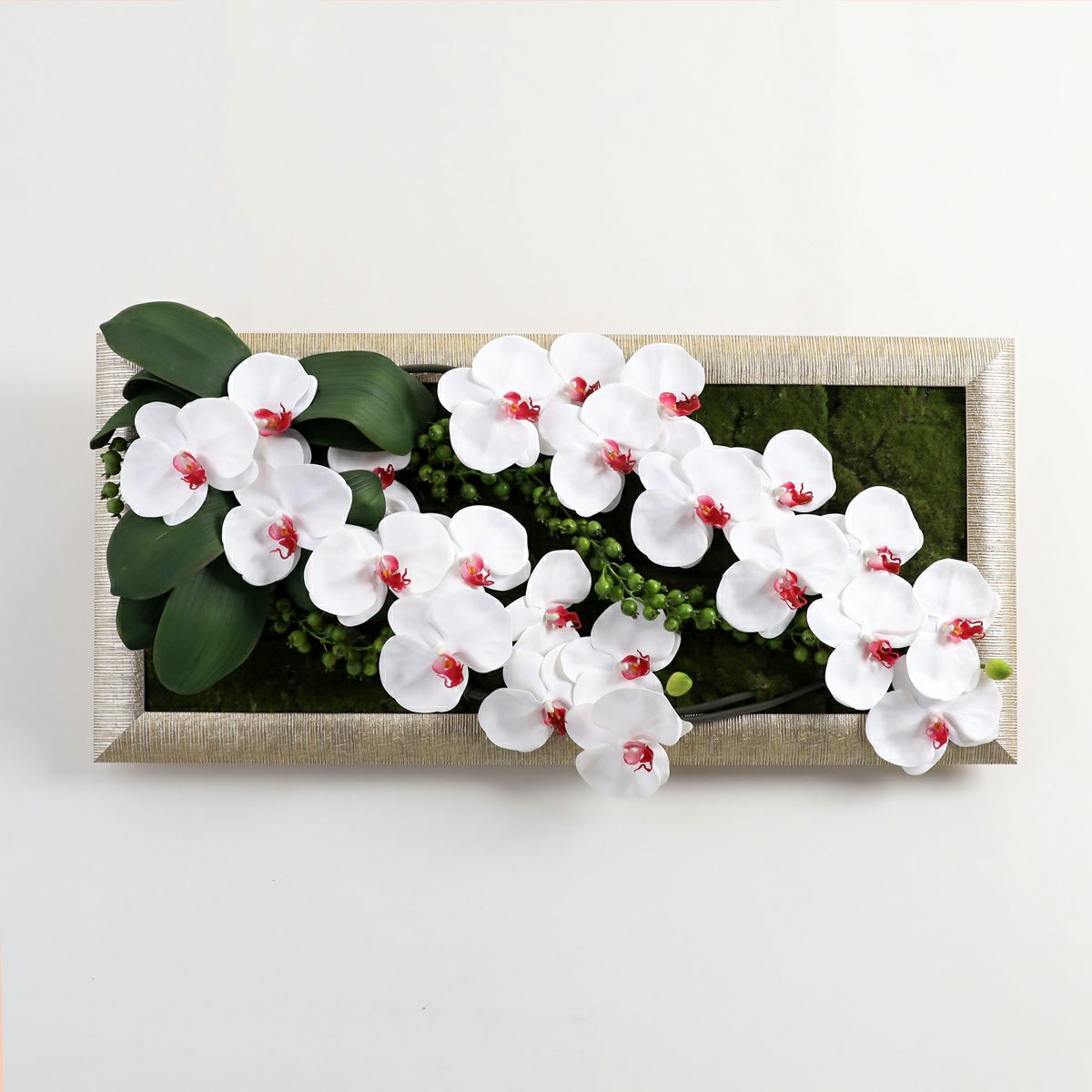 胡蝶蘭 はくらん フレーム [22] BA アレンジ 鉢 アーティフィシャルフラワー