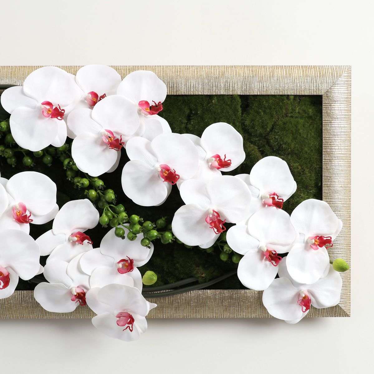 胡蝶蘭 はくらん フレーム [22] BA アレンジ 鉢 アーティフィシャルフラワー