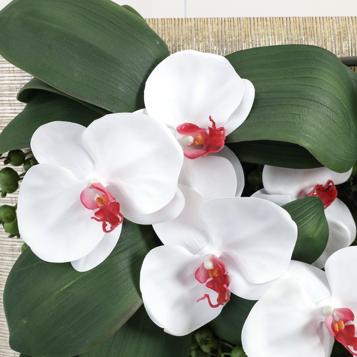 胡蝶蘭 はくらん フレーム [22] BA アレンジ 鉢 アーティフィシャルフラワー