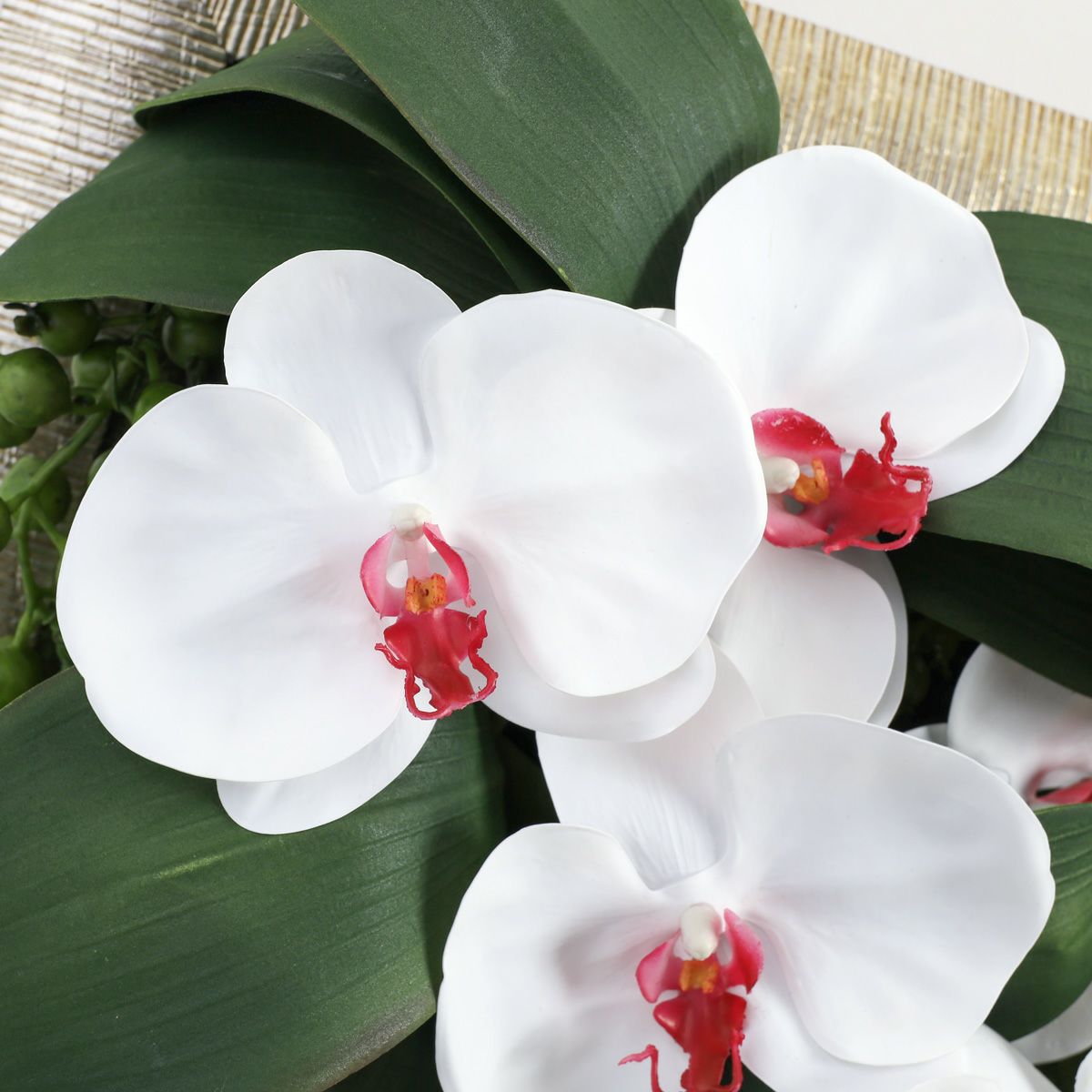 胡蝶蘭 はくらん フレーム [22] BA アレンジ 鉢 アーティフィシャルフラワー