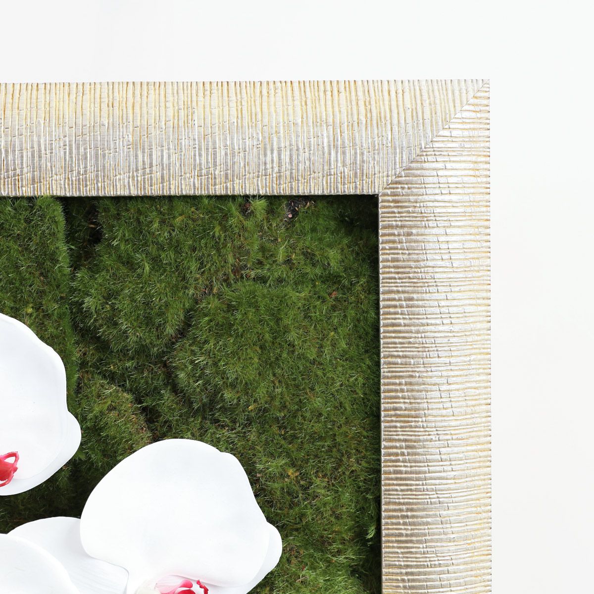 胡蝶蘭 はくらん フレーム [22] BA アレンジ 鉢 アーティフィシャルフラワー