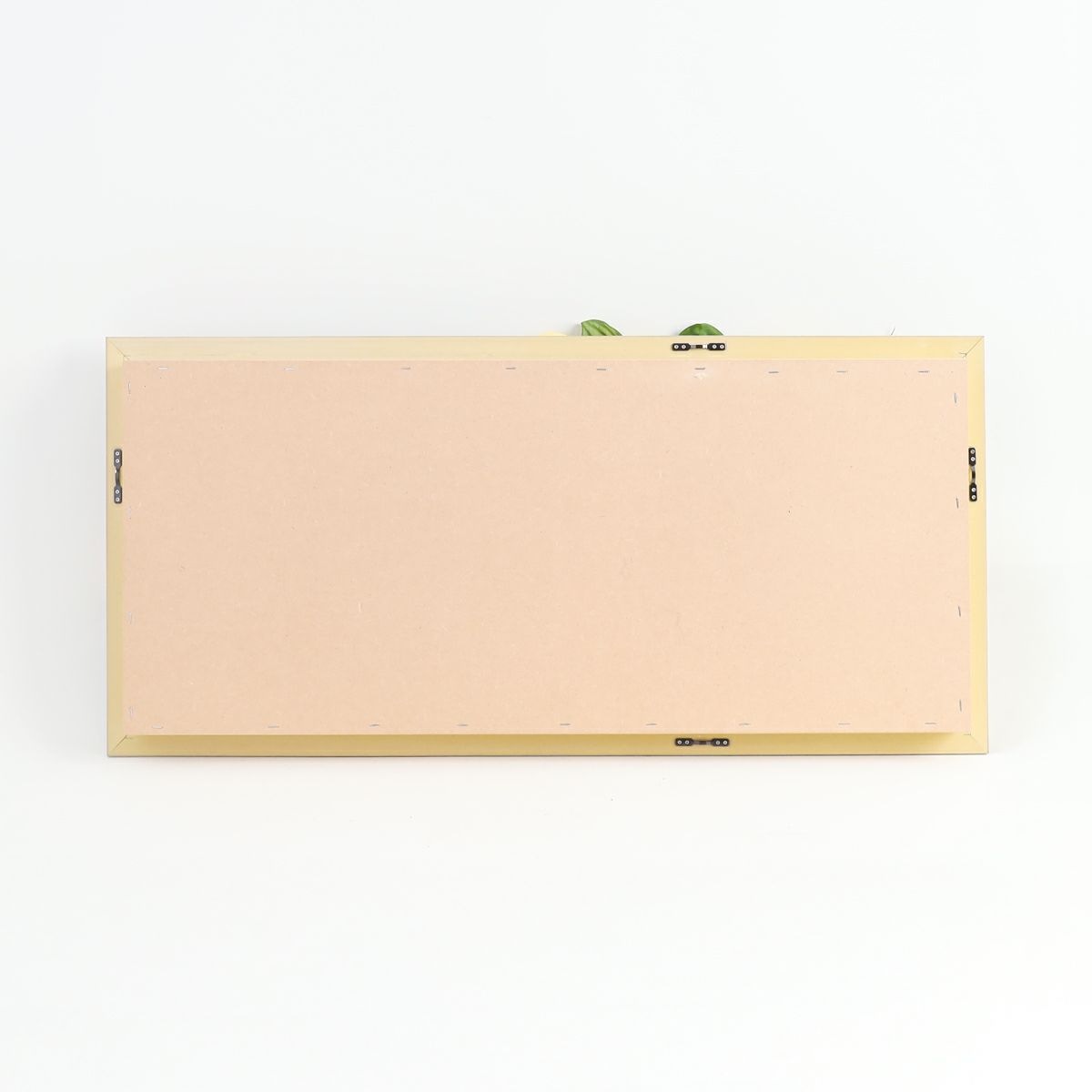 胡蝶蘭 はくらん フレーム [22] BA アレンジ 鉢 アーティフィシャルフラワー