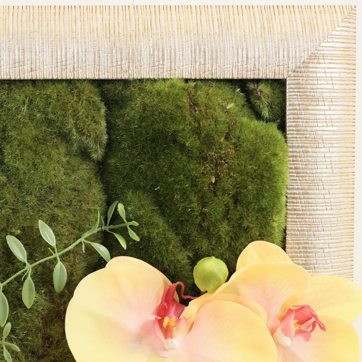 胡蝶蘭 はくらん フレーム  [23] BA アレンジ 鉢 アーティフィシャルフラワー