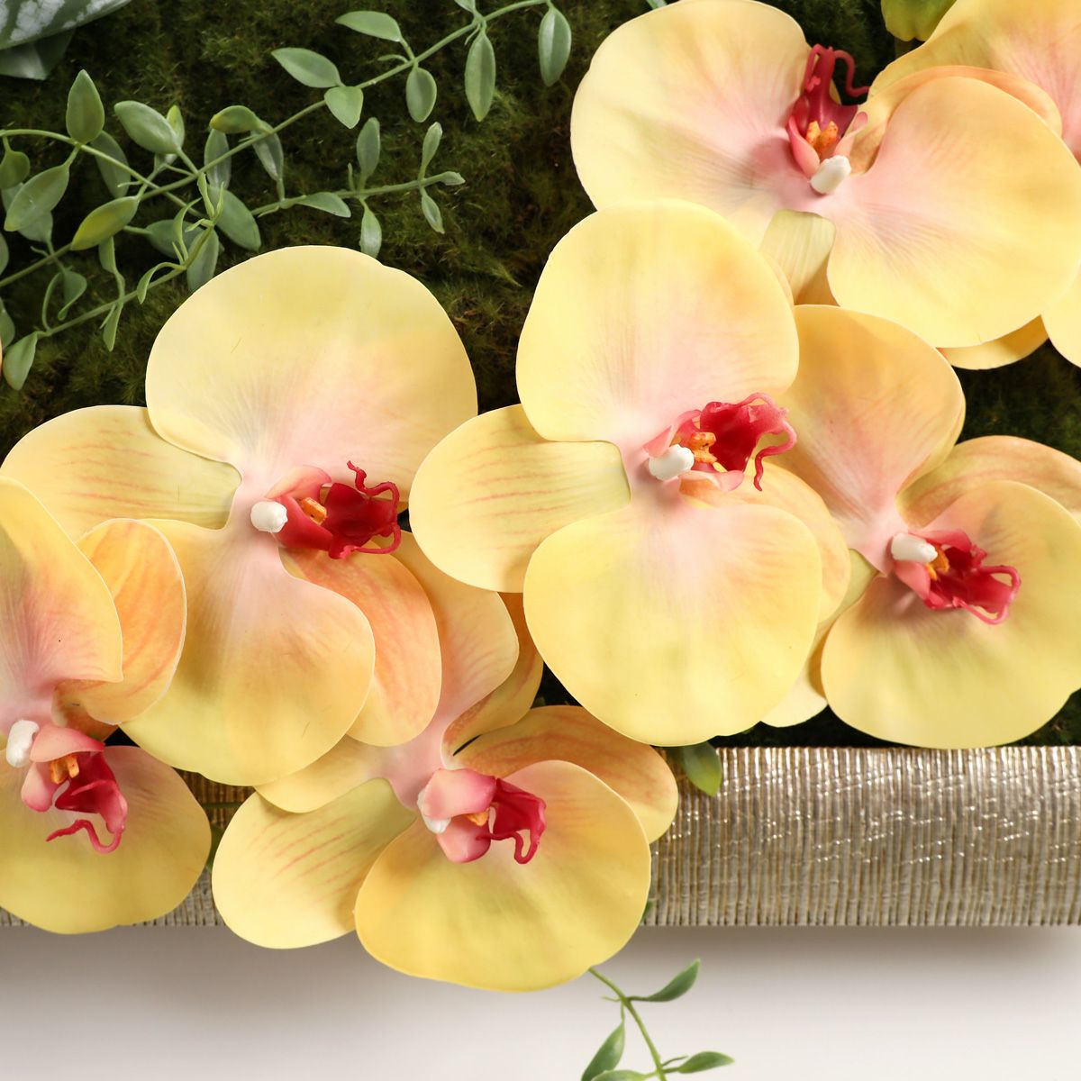 胡蝶蘭 はくらん フレーム  [23] BA アレンジ 鉢 アーティフィシャルフラワー