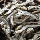 ���� �����ѥ˥ܥ� 300g �ڹ�<br>������ ����ʪ �ڹ���<br>����̣�����н������ޤ��Τǡ���̣���������ɤ󥹡��פʤɤνн��ˡ�