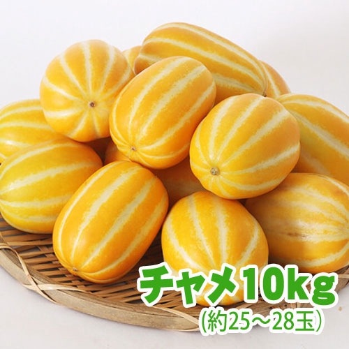 ������̵����(���̳�ƻ���彣�����졦Υ������)��¢ ����� 10kg (��25��28��) �ڹ񻺥�����ɥ���� �ޥ��復�� �ڹ��ʪ �ڹ���