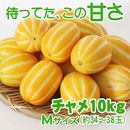 ������̵����(���̳�ƻ���彣�����졦Υ������)<br><br>��¢ ����� 10kg (��34��38��) <br>�ڹ񻺥�����ɥ���� �ޥ��復�� �ڹ��ʪ �ڹ���
