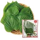 ¢ ޤ ޤ ˥ 1«(10)ܻ <br> ǡ٤餪˥ 