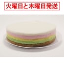 ¢ ڹ ॸȥå߷ 27cm7cm<br>  ڹ<br>ʴˤ줾οդơߡ