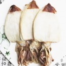 ���� �ϥ�� 5�� �٥ȥʥ໺ ���봳�� ���褹��� ���󥵥������ ����ʪ<br>���Ť�ǻ���ǻ������������륱�󥵥�������