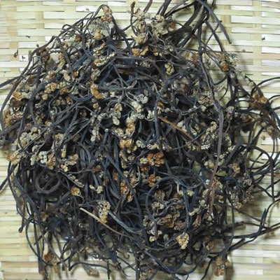   100g 񻺥ʥ   ڹΥʥ˷礫ʤॳꡢӡ