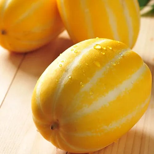 クール便対応可能　韓国産　チャメ　6kg イエローメロン　　韓国　メロン　果物 韓国チャメ（イエローメロン）6個入 | コストコ通 コストコおすすめ