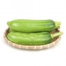 ¢ å ۥХ 1(200230g) ڹ ڹ ڹ<br>̣ʤ٤䡢¥ߤʤɤˤ褯Ȥڹ񻺤ڡ