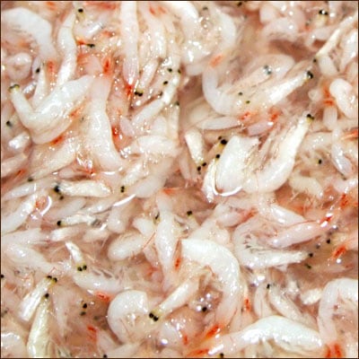 ����Ź������������� ���ߤα��� 500g �ڹ�<br>��������� ��������� �ڹ���<br>������Ĵ̣��̵ź�á������Ӥȿ��������Ǻ��줿���ߤα��ɡ�