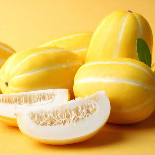 �ں������ε��������ڹ����١�<br>��¢ ����� 1�� �ڹ񻺥�����ɥ����<br>�ޥ��復�� �ڹ��ʪ �ڹ���<br>�� ���������Ȥ������������Ĥ����Τʤ��Ť��̽��� ��