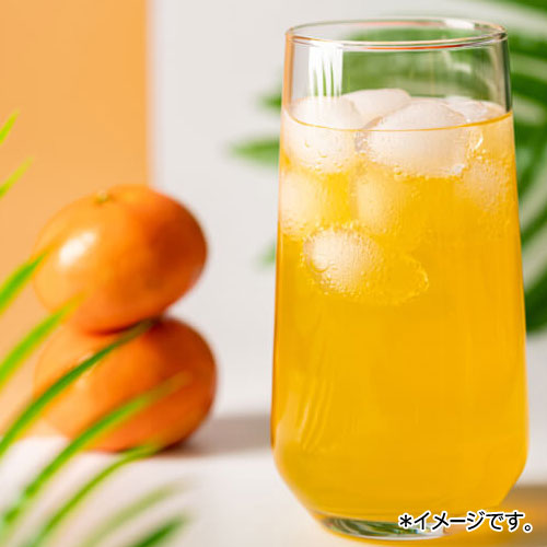 ������إ���ѥ���ȯ����[����ѥ���ȯ����1��6�Ĥޤǲ�ǽ�Ǥ���]<br><br>�����٤�3�ĥ��åȡ�<br>jejufeel �ѽ��ե롼�ĥ����� 230mL��3�� ��1������252��<br> �ѥ����ɥ�� �ڹ���� �ڹ���<br>�� �ڹ�ѽ��礫���Ϥ����ӥ��ߥ󤿤äפ�Υե롼�ĥ����� ��