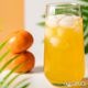 ������إ���ѥ���ȯ����[����ѥ���ȯ����1��6�Ĥޤǲ�ǽ�Ǥ���]<br><br>�����٤�3�ĥ��åȡ�<br>jejufeel �ѽ��ե롼�ĥ����� 230mL��3�� ��1������252��<br> �ѥ����ɥ�� �ڹ���� �ڹ���<br>�� �ڹ�ѽ��礫���Ϥ����ӥ��ߥ󤿤äפ�Υե롼�ĥ����� ��