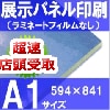 ����ŹƬ���衡Ÿ���ѥͥ������A1�������ۥ�ߥ͡��Ȥʤ���841��594�С�