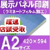 ����ŹƬ���衡Ÿ���ѥͥ������A2�������ۥ�ߥ͡��Ȳù������594��420�С�