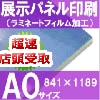 ����ŹƬ���衡Ÿ���ѥͥ������A���������ۥ�ߥ͡��Ȳù������1189��841�С�