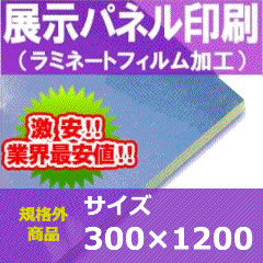 Ÿѥͥ3001200ߥ͡Ȳù