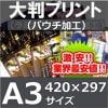 �ݥ����������ܥѥ����ù���������������420��297mm��