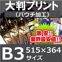 �ݥ����������ܥѥ����ù���B3��������515��364mm��