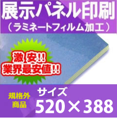 Ÿѥͥ520388ߥ͡Ȳù