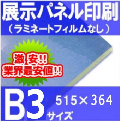 Ÿ���ѥͥ������B3�������ۥ�ߥ͡��Ȥʤ���515��364�С�