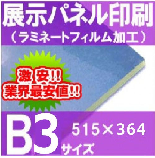 Ÿ���ѥͥ������B3�������ۥ�ߥ͡��Ȳù������515��364�С�