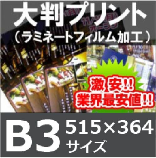 �ݥ����������ܥ�ߥ͡��ȥե����ù���B3��������515��364�С�
