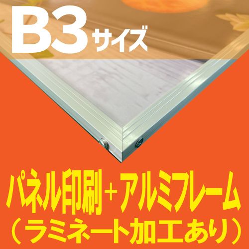 展示パネル印刷+アルミフレームセット【B3サイズ 515×364mm
