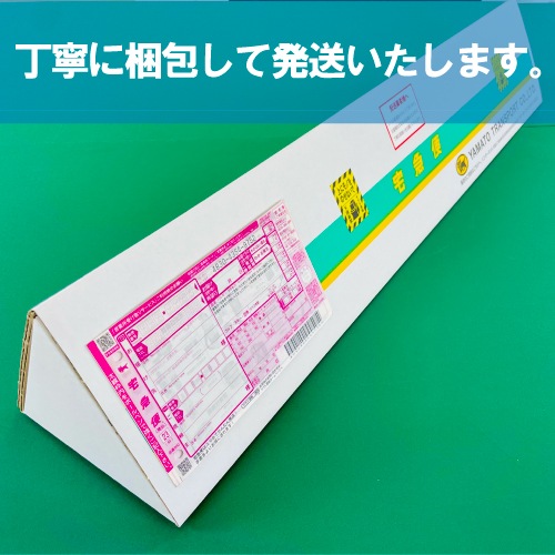 展示会ポスター【B1サイズ 1030×728mm】（コート紙つやけし・フォト