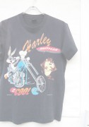 HARLEY-DAVIDSON �ڥϡ��졼�����ӥåɥ����1990s ��Warner Bros�� T-Shirts / No.12