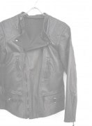 CHANDḀͥץ ɥ顼 ֥饤㥱å