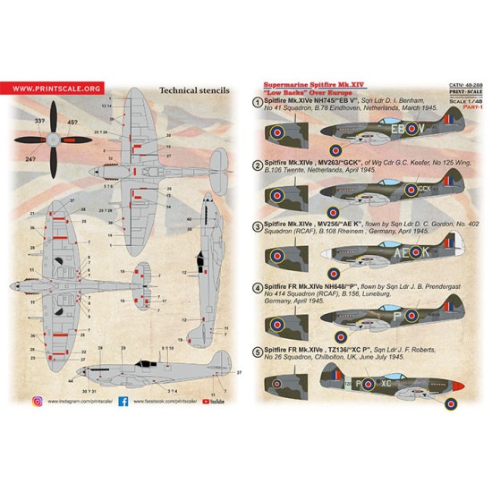 �ץ��ȥ������� 1/48 48-288 ���ԥåȥե����� XIV �����Хå�  �ѡ���1