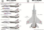 HAD��ǥ� 48166 1/48 MiG-31 �ǥ����륷���� 
